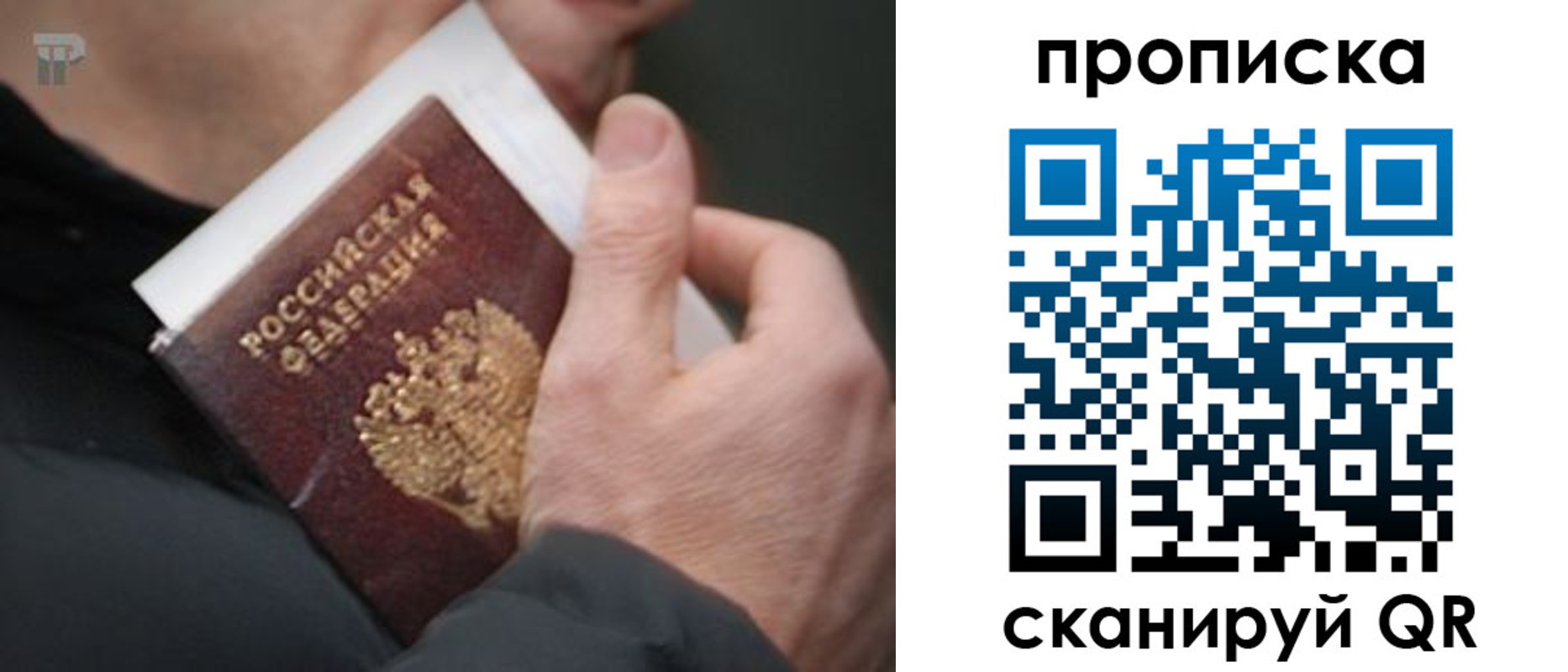 временная регистрация гарантия в Владивостоке